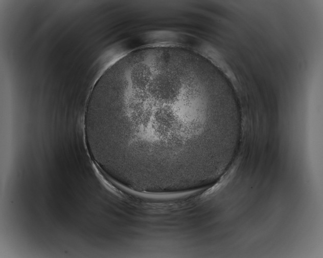X0000088461425200705221333