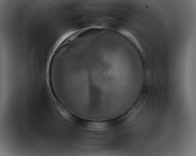 X0000088461427200705221333