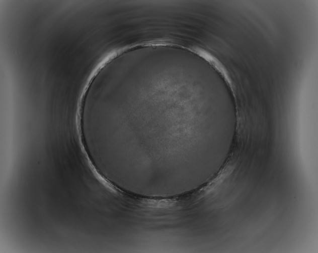X0000088461429200705221333