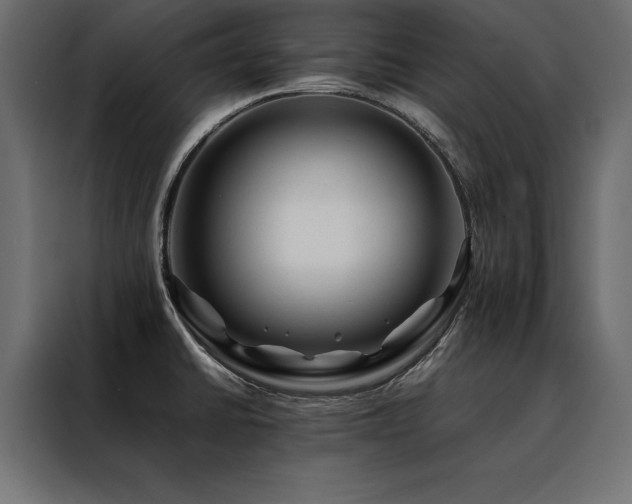 X0000088461430200705221333