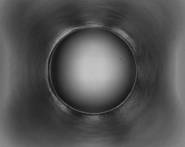 X0000088461431200705221333