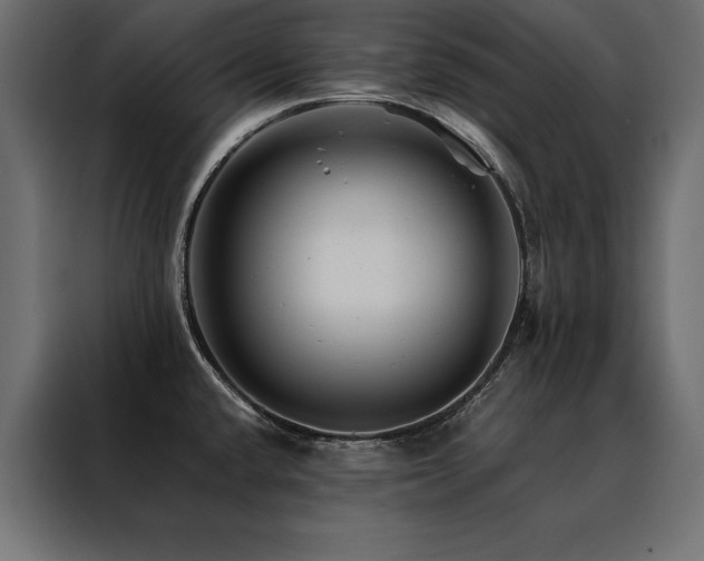 X0000088461432200705221333