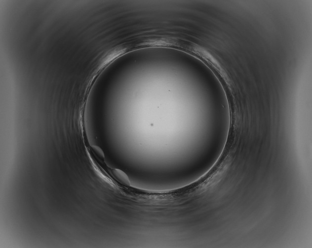 X0000088461433200705221333