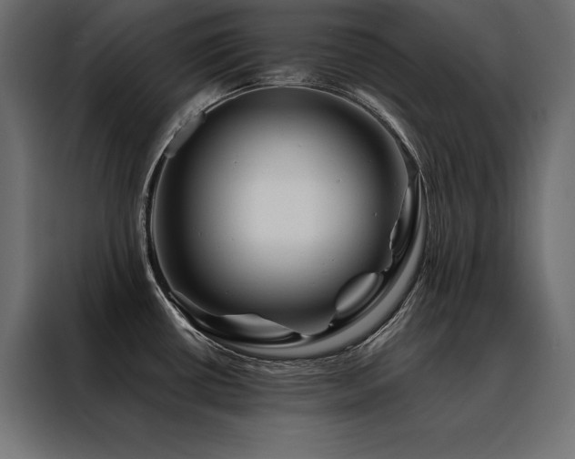 X0000088461434200705221333