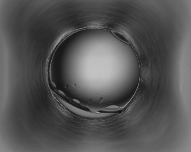 X0000088461435200705221333