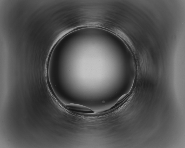 X0000088461436200705221334