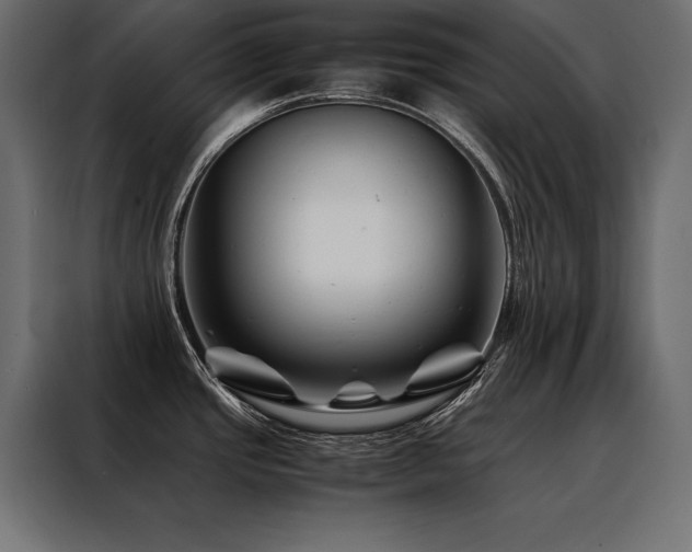 X0000088461437200705221334