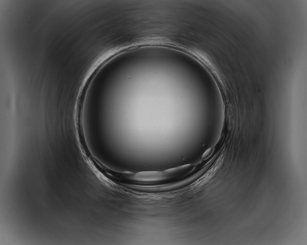 X0000088461438200705221334