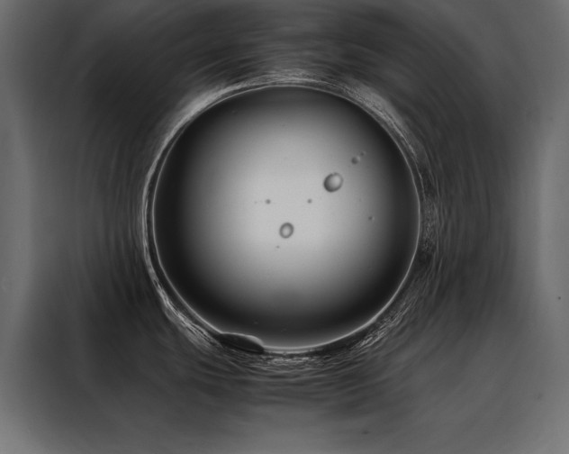 X0000088461439200705221334
