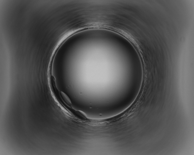 X0000088461440200705221334