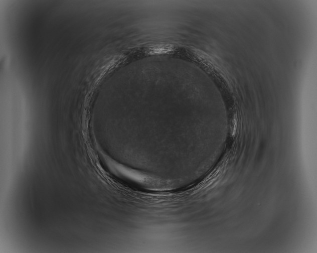 X0000088461441200705221333