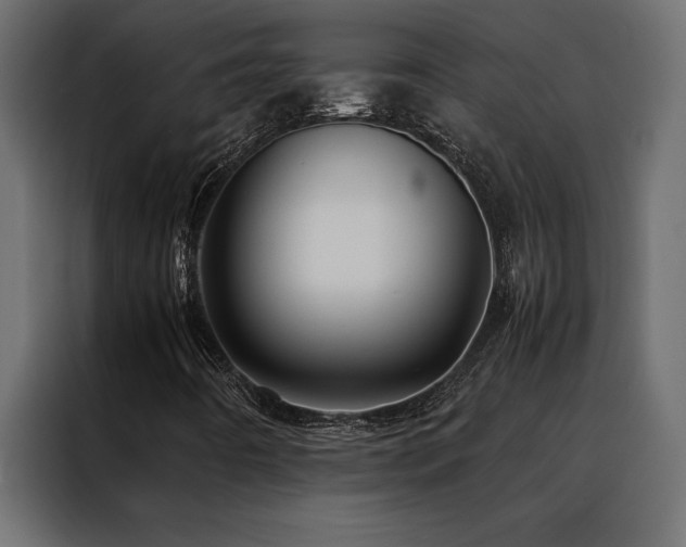 X0000088461442200705221333