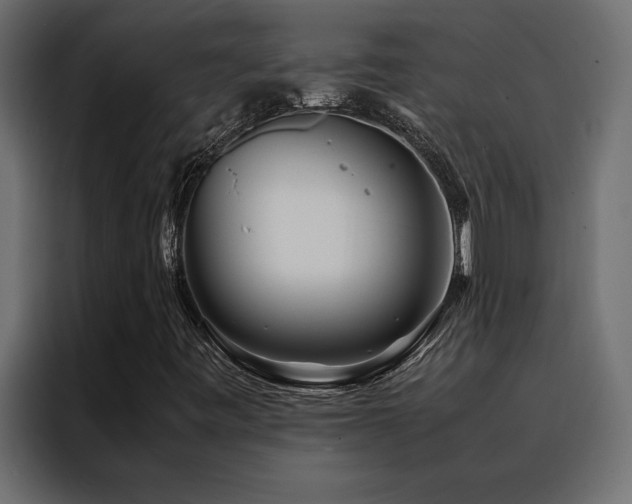 X0000088461443200705221333
