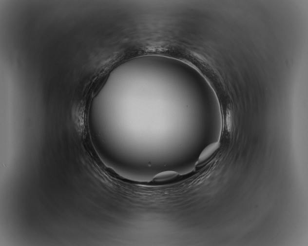 X0000088461444200705221333