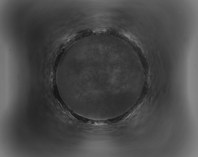X0000088461445200705221333