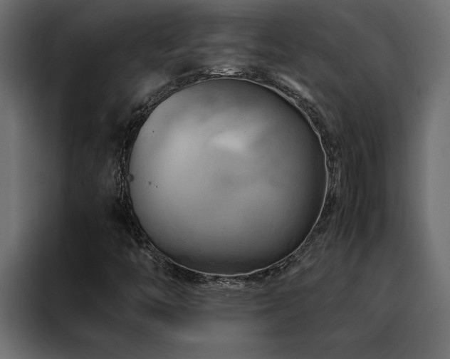 X0000088461446200705221333