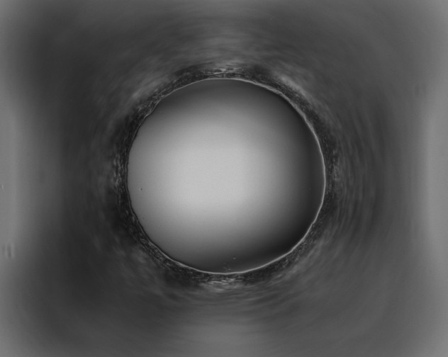 X0000088461447200705221333