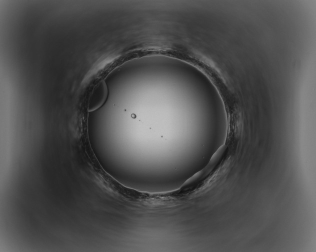 X0000088461448200705221333