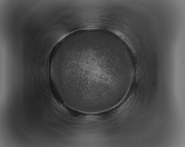 X0000088461449200705221333