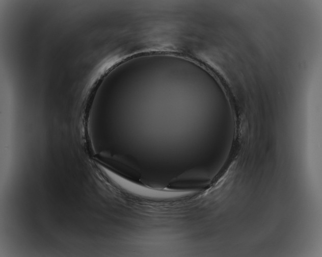 X0000088461455200705221333