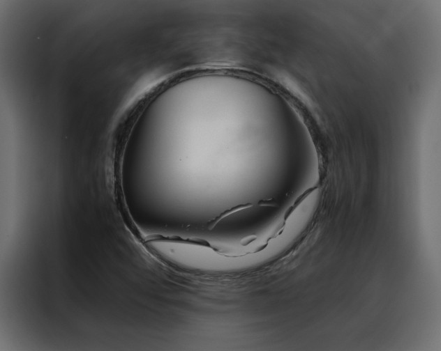 X0000088461456200705221333