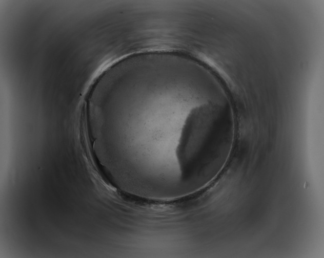 X0000088461459200705221333