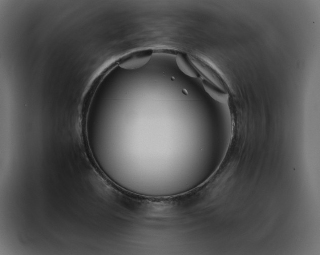 X0000088461460200705221333