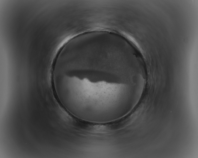 X0000088461463200705221333