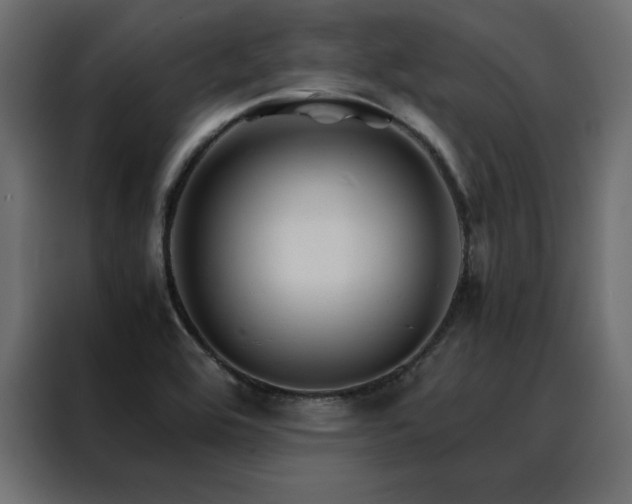 X0000088461464200705221333