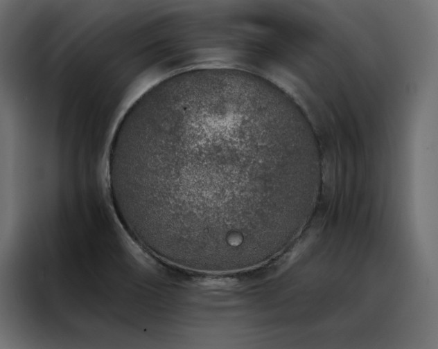 X0000088461466200705221333