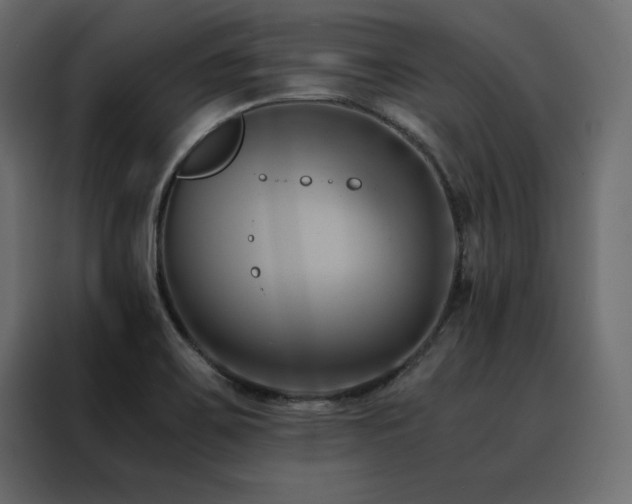 X0000088461467200705221333