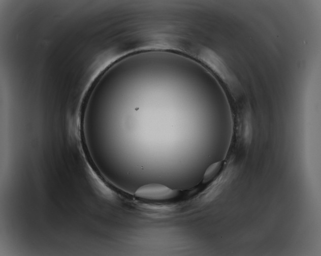 X0000088461468200705221333