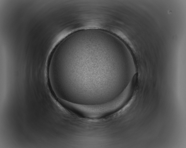 X0000088461469200705221333