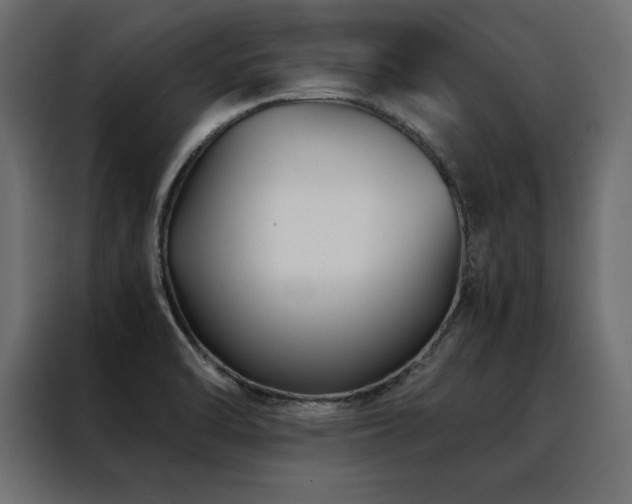 X0000088461470200705221333
