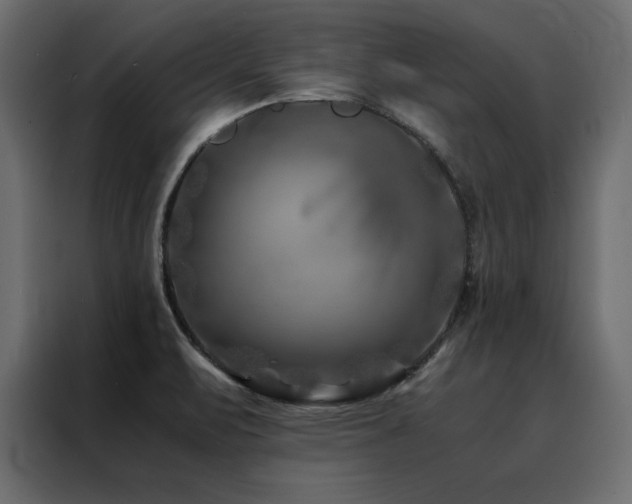 X0000088461471200705221333