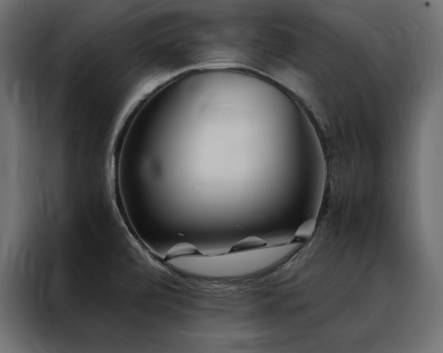 X0000088461472200705221333