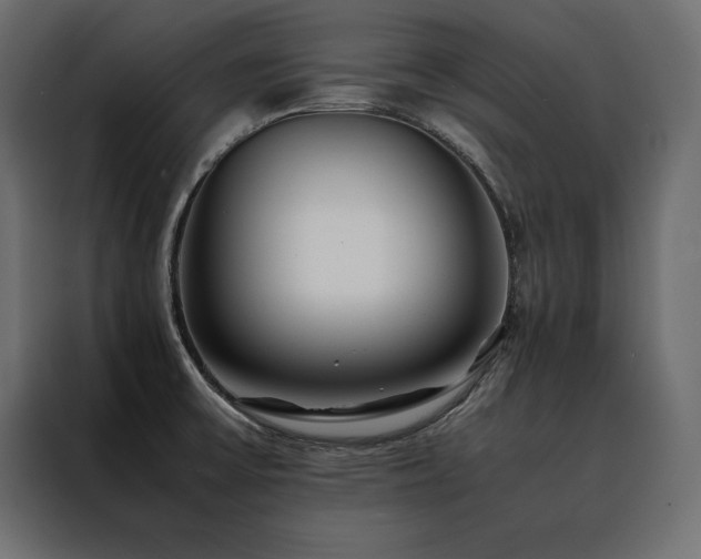 X0000088461475200705221332