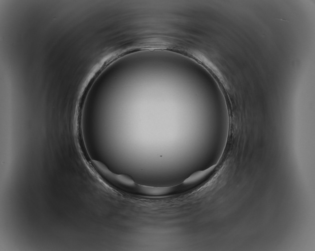 X0000088461477200705221332