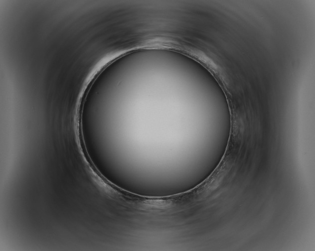 X0000088461478200705221332