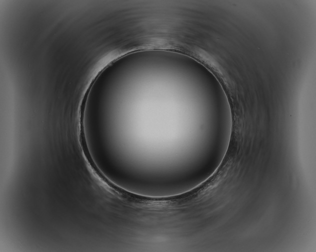 X0000088461479200705221332