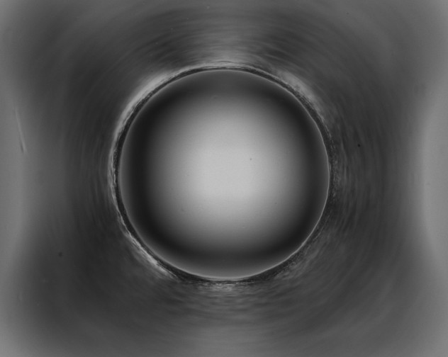 X0000088461480200705221332