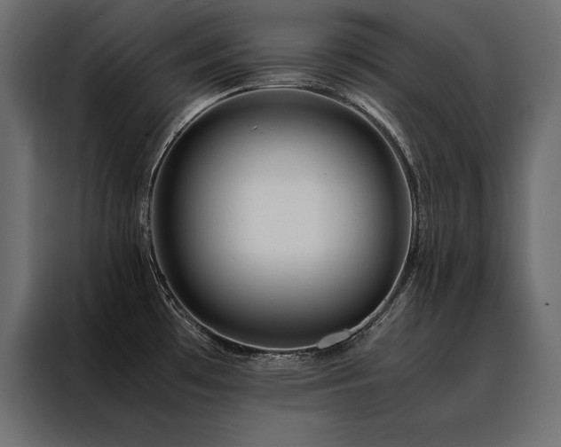 X0000088461481200705221332