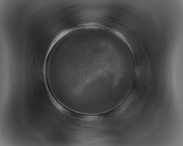 X0000088461482200705221332
