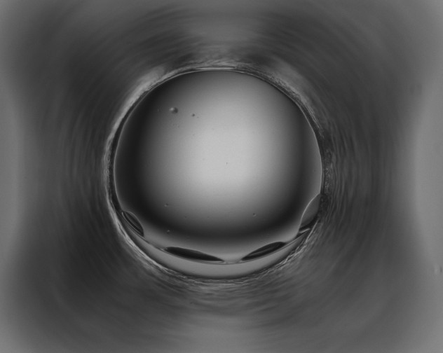 X0000088461483200705221332
