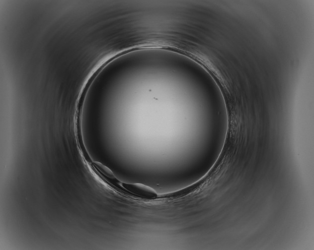 X0000088461484200705221332