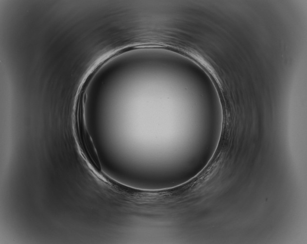 X0000088461485200705221332