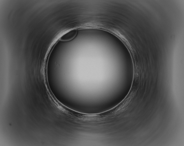 X0000088461486200705221332
