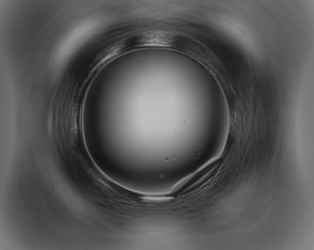 X0000088461487200705221332