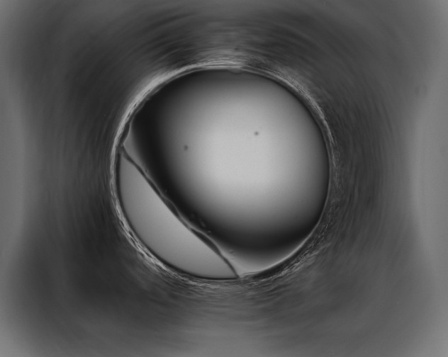 X0000088461488200705221332