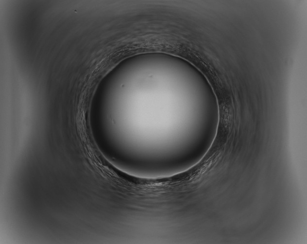 X0000088461489200705221332